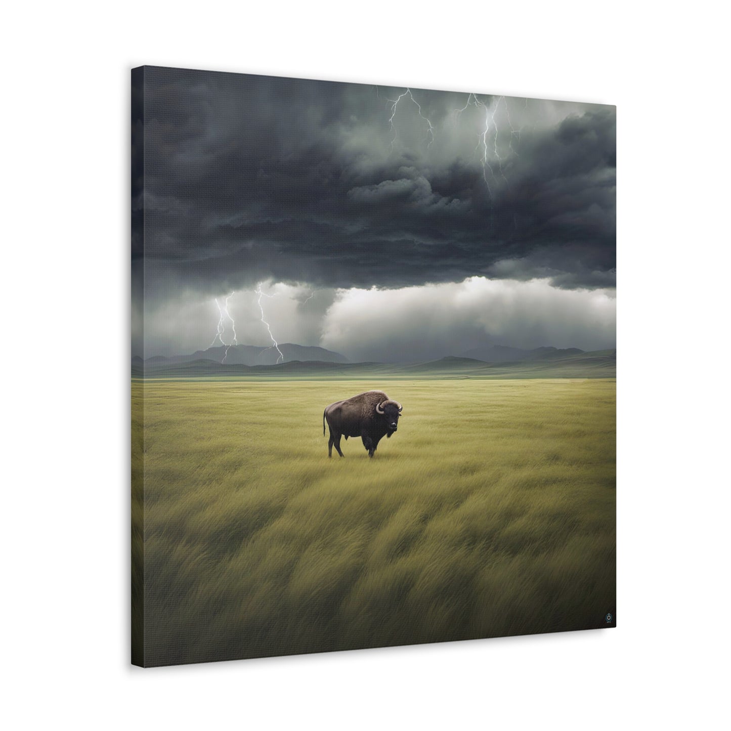 Lone Buffalo - Canvas